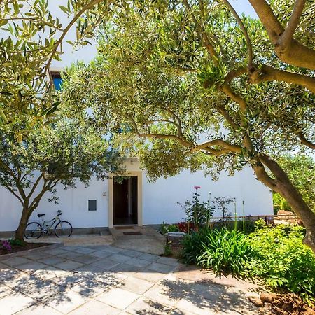 Adelia Daire Mali Lošinj Dış mekan fotoğraf